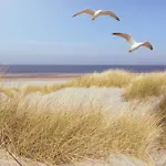 Apartmán Studio-apartment Piccolino 26, Timmendorfer Strand- Strandkorb Inklusive & Privaten Zugang Zur Ostsee
