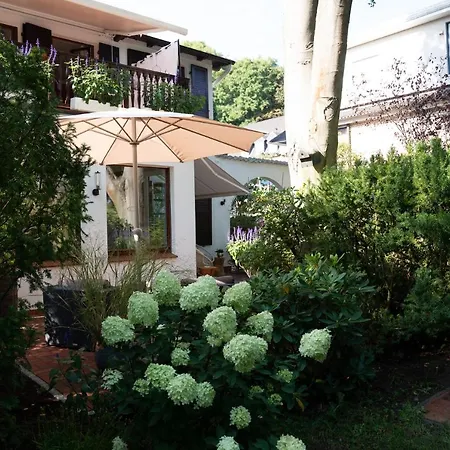 Studio-apartment Piccolino 26 Lejlighed