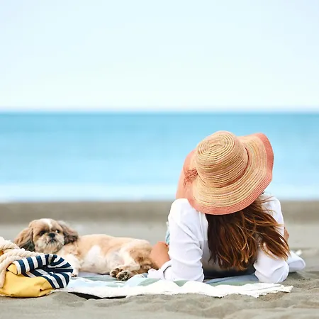 شقة Studio-apartment Piccolino 26, Timmendorfer Strand- Strandkorb Inklusive & Privaten Zugang Zur Ostsee *