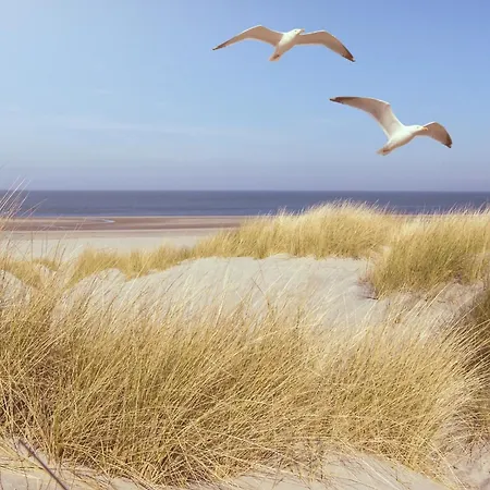 Apartmán Studio-apartment Piccolino 26, Timmendorfer Strand- Strandkorb Inklusive & Privaten Zugang Zur Ostsee