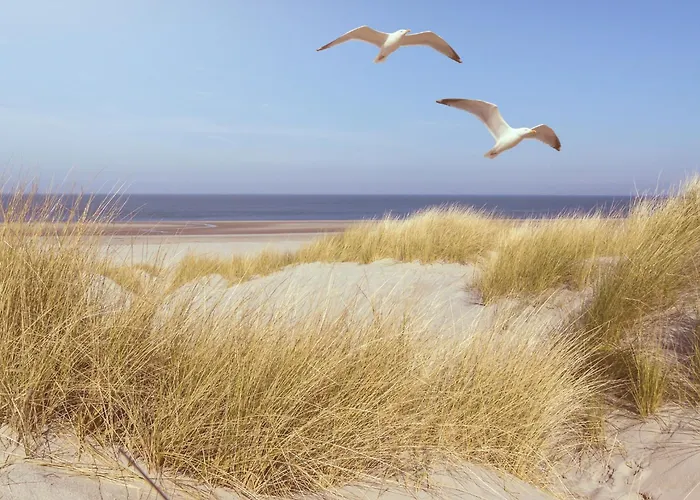 Lägenhet Studio-apartment Piccolino 26, Timmendorfer Strand- Strandkorb Inklusive & Privaten Zugang Zur Ostsee